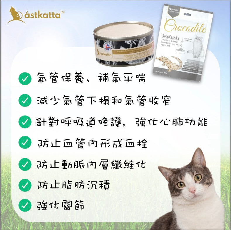 ASTKATTA 凍乾營養貓小食 鱷魚肉 (OMEGA-3) 40G FREEZE-DRIED TREAT CROCODILE