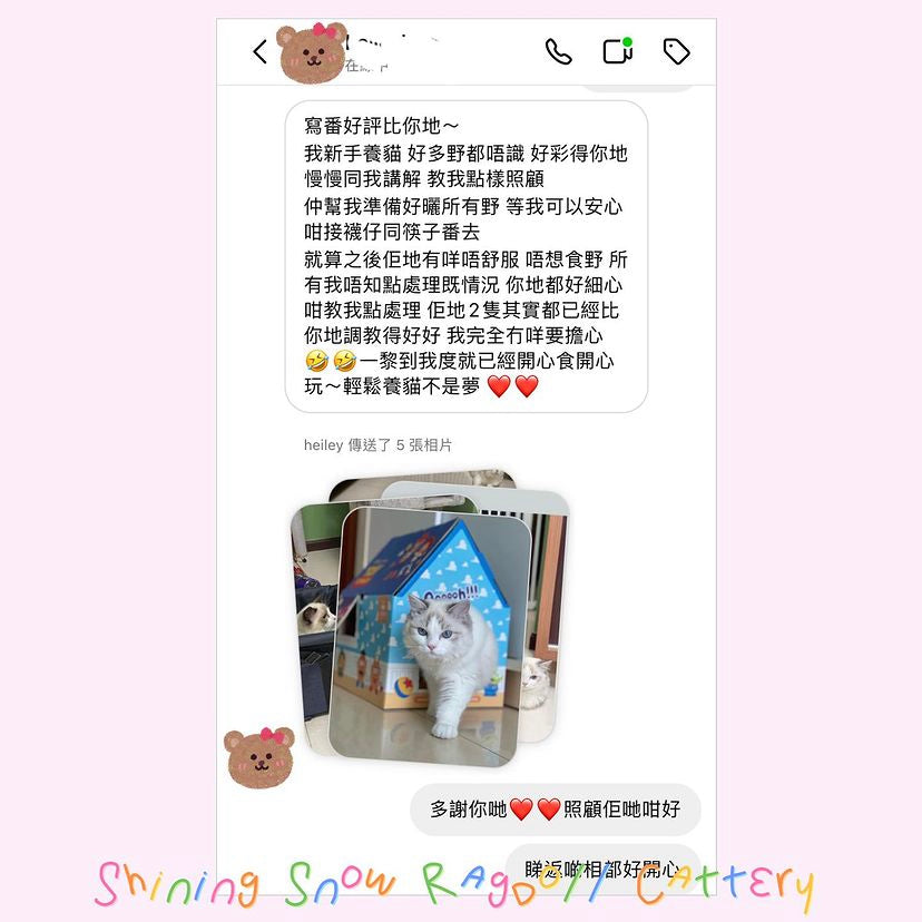 襪仔🧦