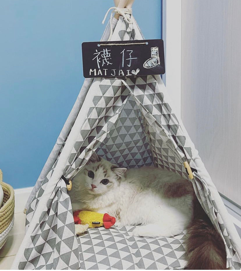 襪仔🧦