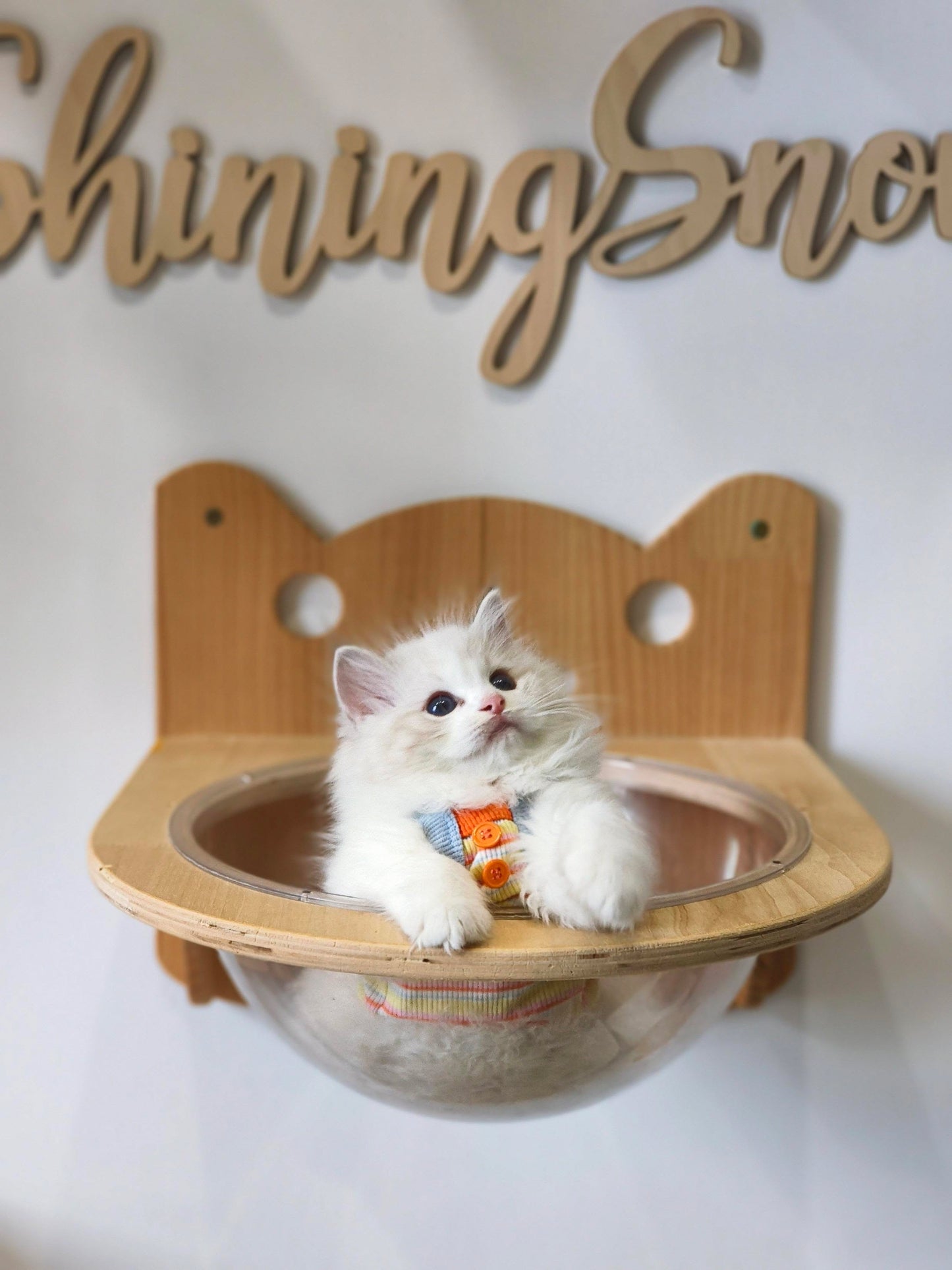 JN 海山仔仔 （ Orange)